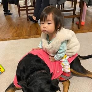 Meet your Posher, Joseph